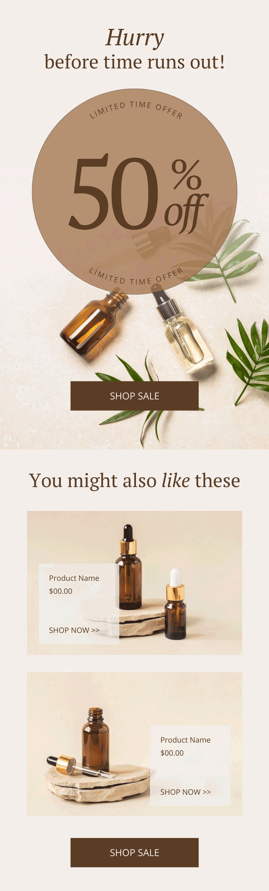 Flash Sale Email Template